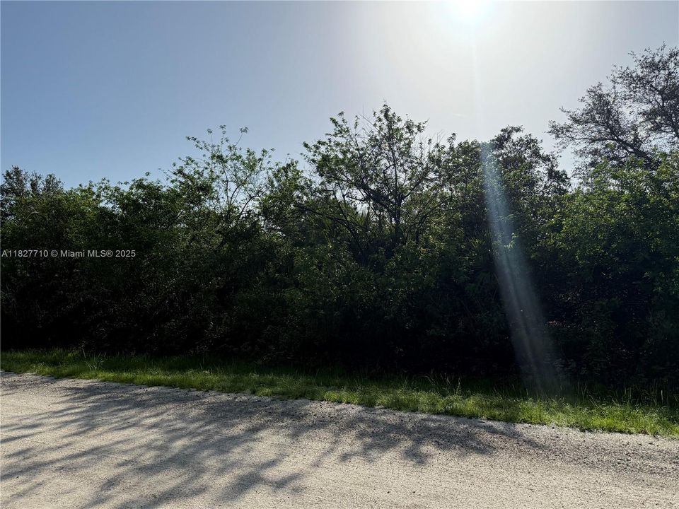 Recently Sold: $57,000 (1.25 acres)