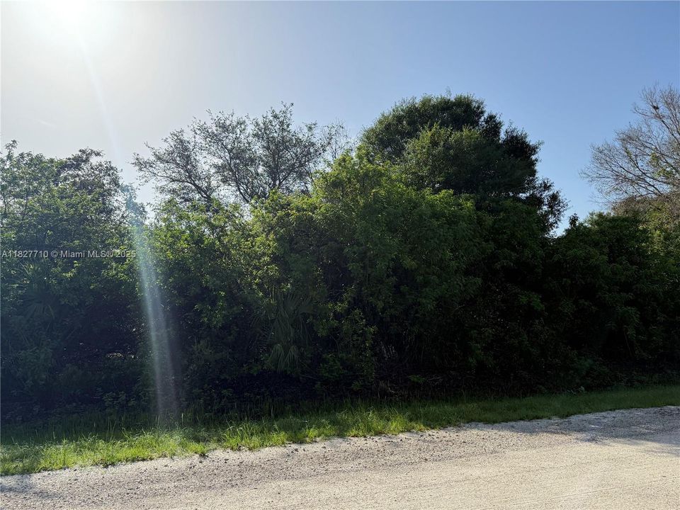 Recently Sold: $57,000 (1.25 acres)