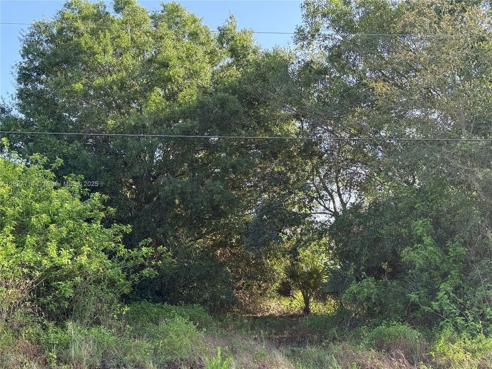 Recently Sold: $57,000 (1.26 acres)