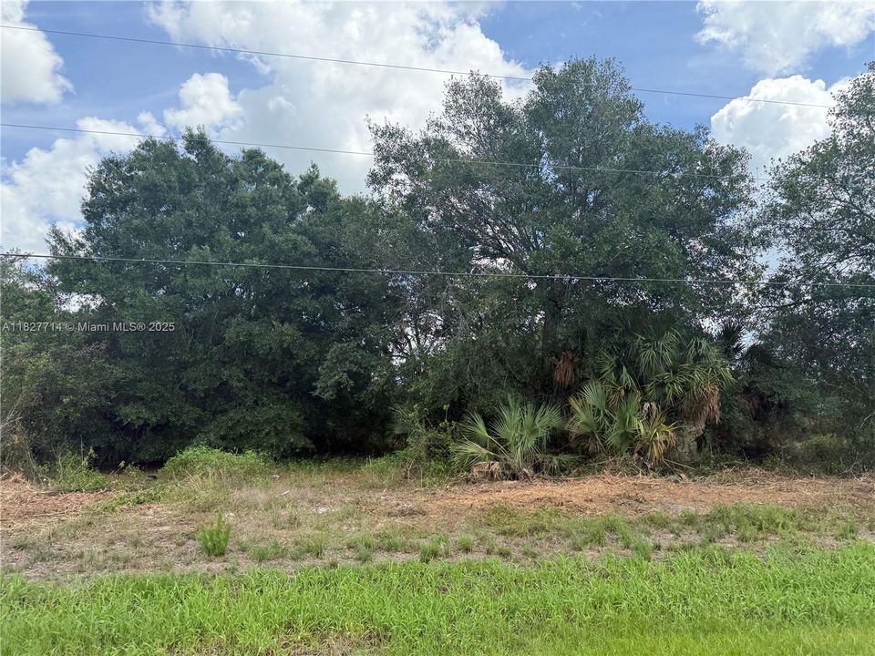 Recently Sold: $57,000 (1.26 acres)