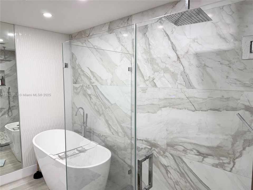 beautiful plunge tub and remodeled shower