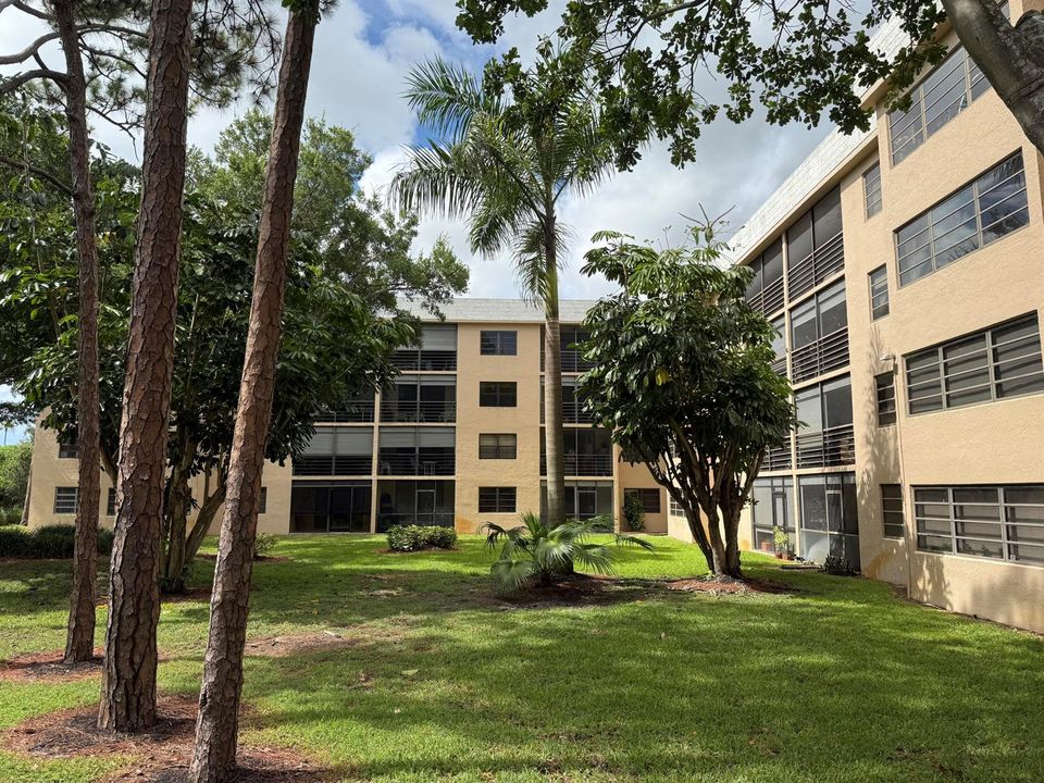 Back of Building