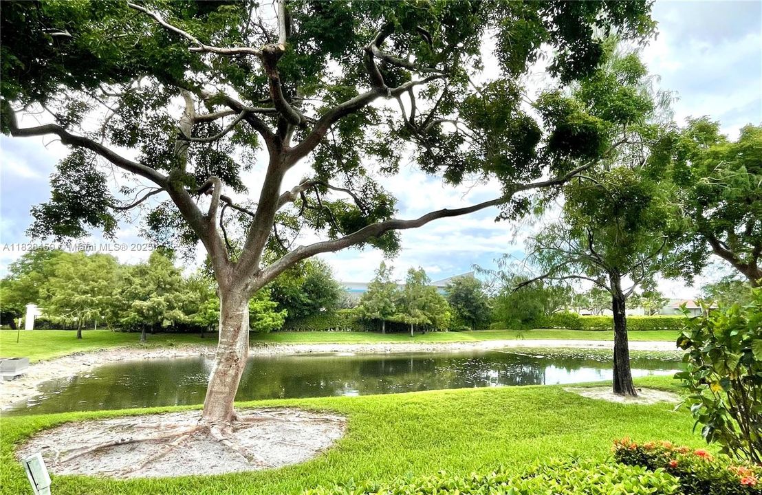 For Sale: $425,000 (3 beds, 2 baths, 1624 Square Feet)