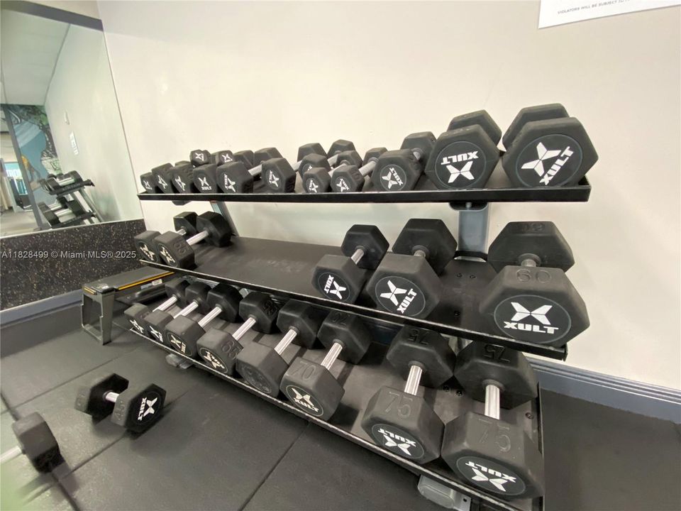 На продажу: $249,000 (0 спален, 1 ванн, 508 Квадратных фут)