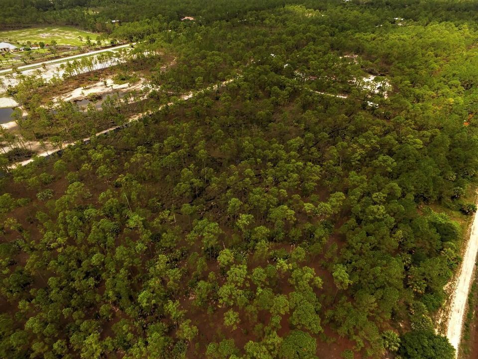 Fellsmere Aerial