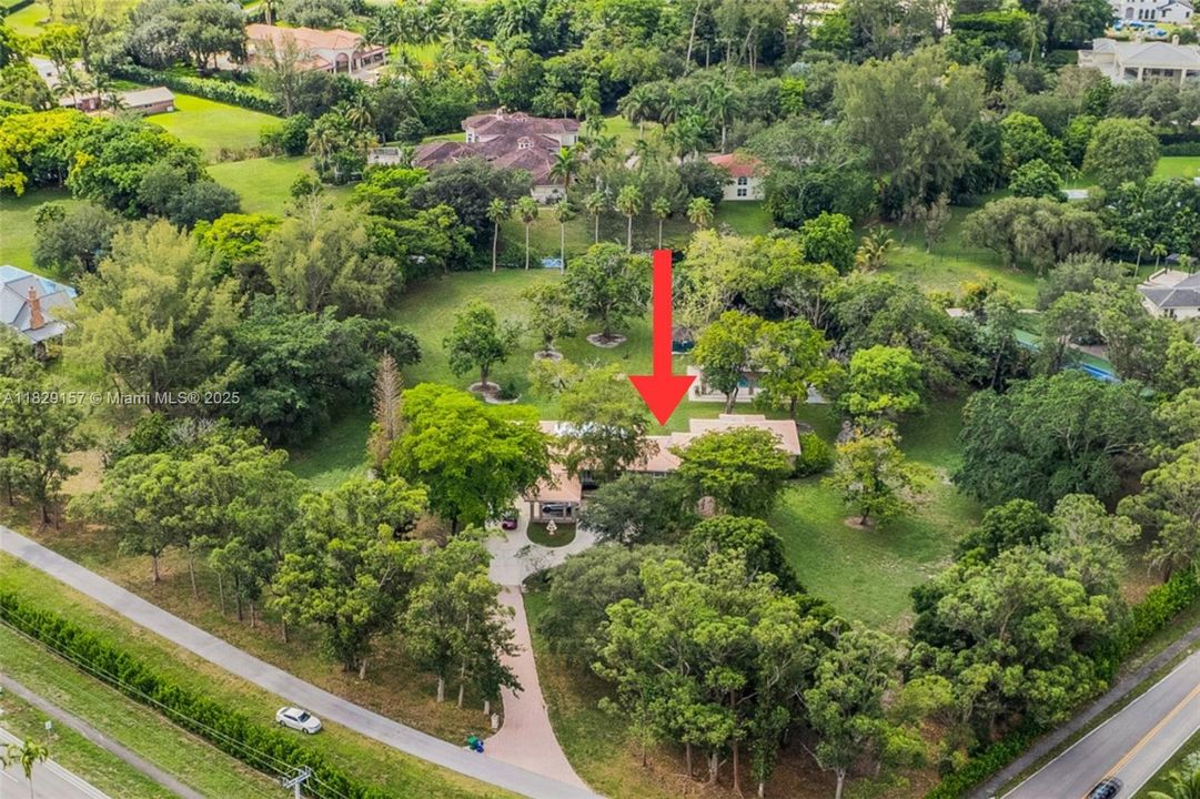 Tons of trees provide privacy