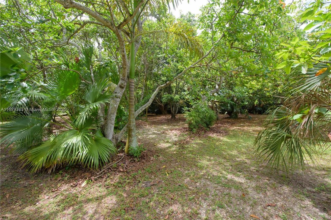 En Venta: $625,000 (3 camas, 3 baños, 1564 Pies cuadrados)