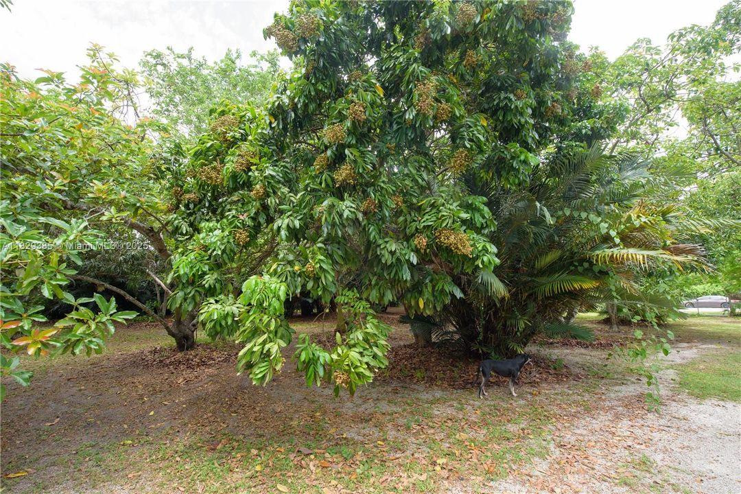 En Venta: $625,000 (3 camas, 3 baños, 1564 Pies cuadrados)