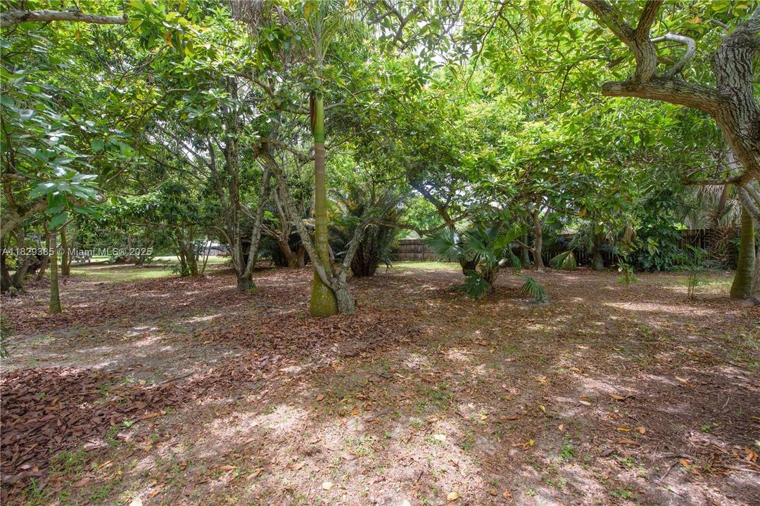 En Venta: $625,000 (3 camas, 3 baños, 1564 Pies cuadrados)