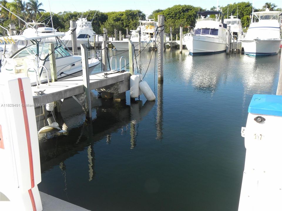 Recently Sold: $2,950 (No Data)