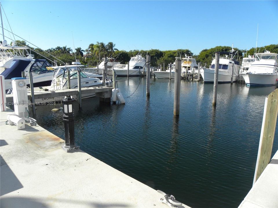 Recently Sold: $2,950 (No Data)