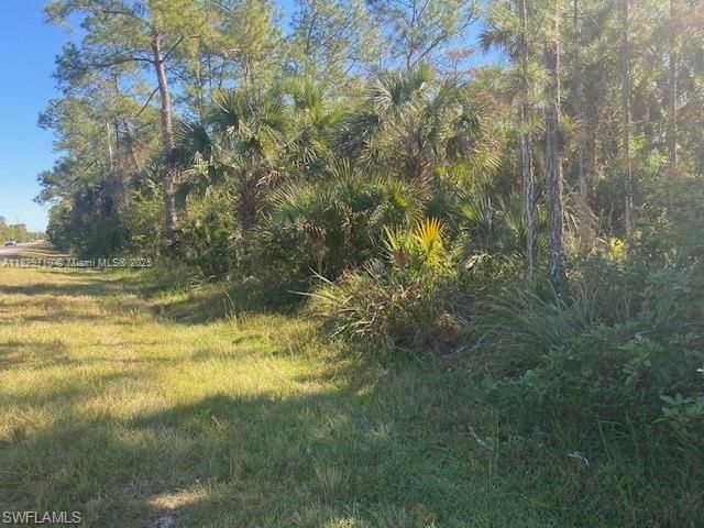 For Sale: $130,000 (2.73 acres)