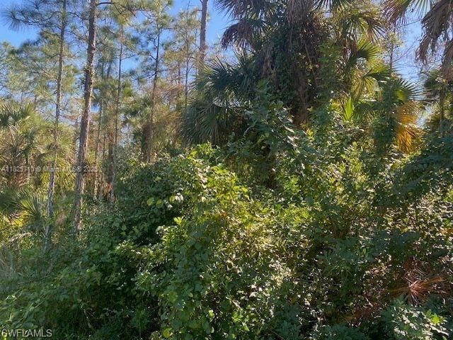 For Sale: $130,000 (2.73 acres)