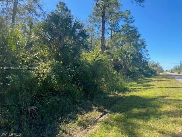 For Sale: $130,000 (2.73 acres)