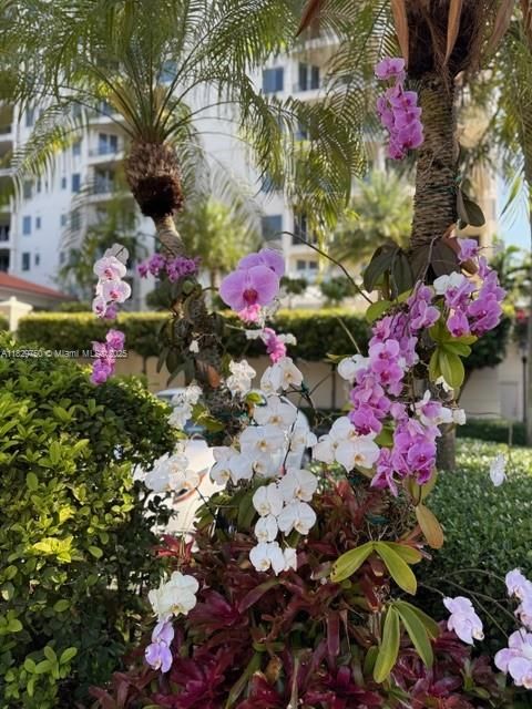 Exterior Milano annual orchid blooms