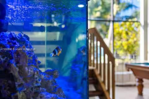 Living underwater without getting wet – this massive aquarium brings the ocean indoors while you shoot pool outside!!