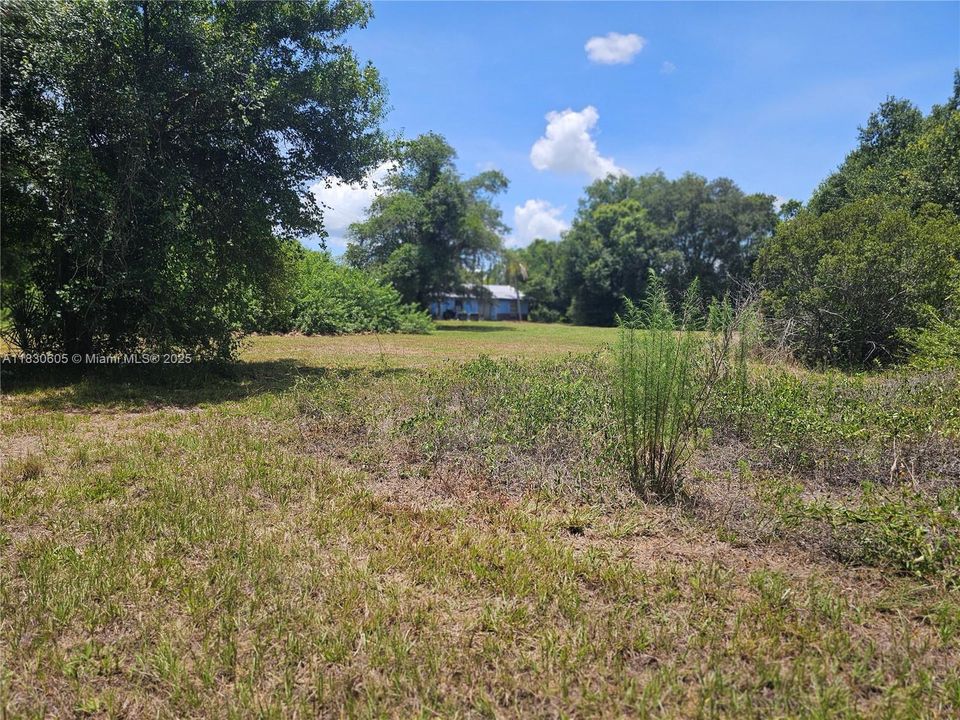 View of acreage from back of acreage