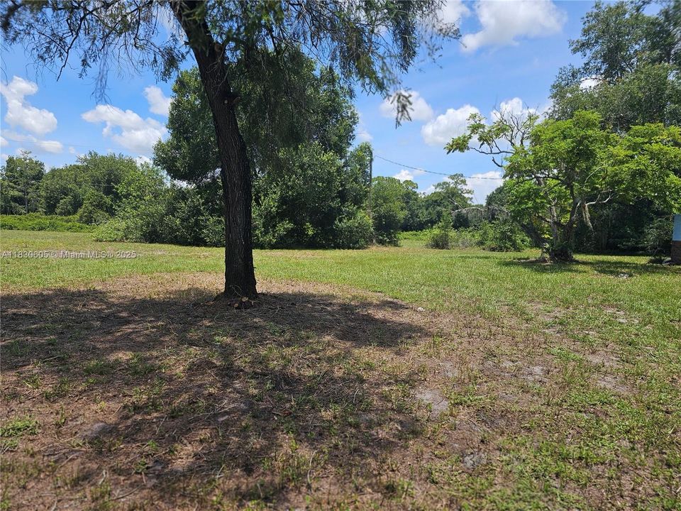 Partial Front yard acreage