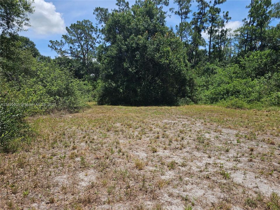 Partial Acreage back of house