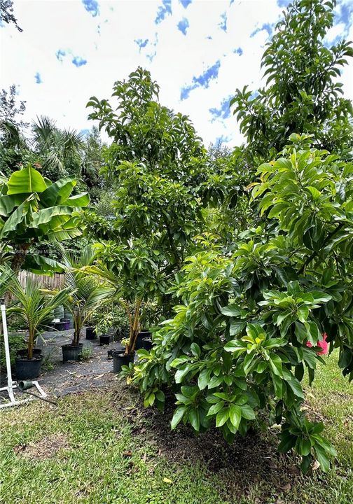 For Sale: $429,000 (3 beds, 2 baths, 2044 Square Feet)