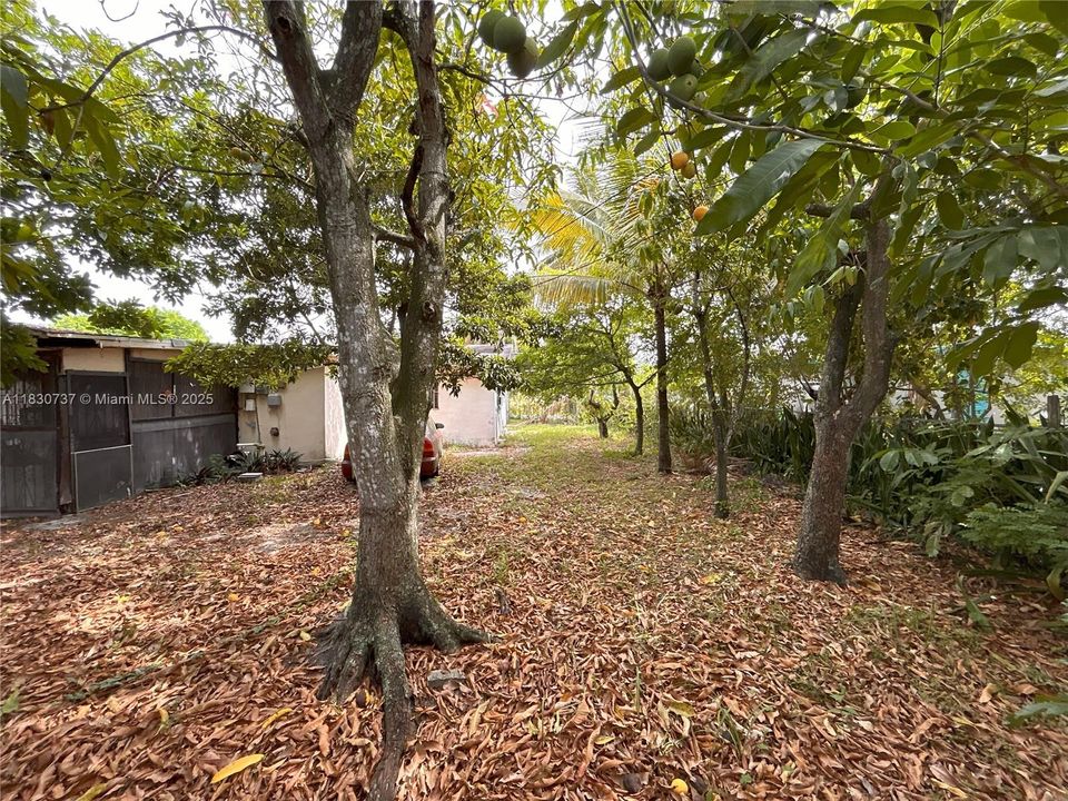 合同活跃: $350,000 (2 贝兹, 1 浴室, 1016 平方英尺)