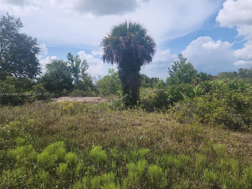 Recently Sold: $23,000 (1.25 acres)