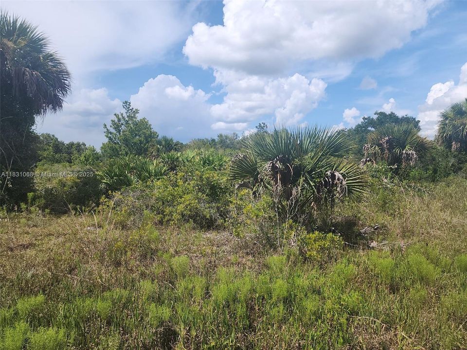 Recently Sold: $23,000 (1.25 acres)