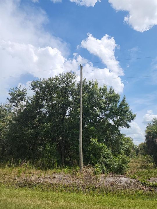 Recently Sold: $23,000 (1.25 acres)