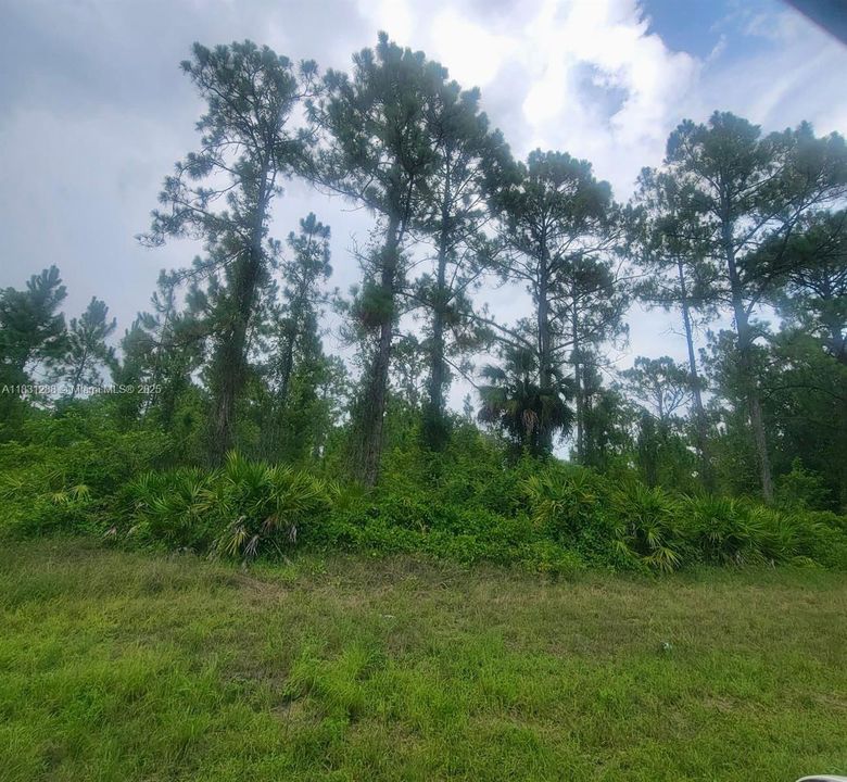 Vendido Recientemente: $21,800 (0.36 acres)
