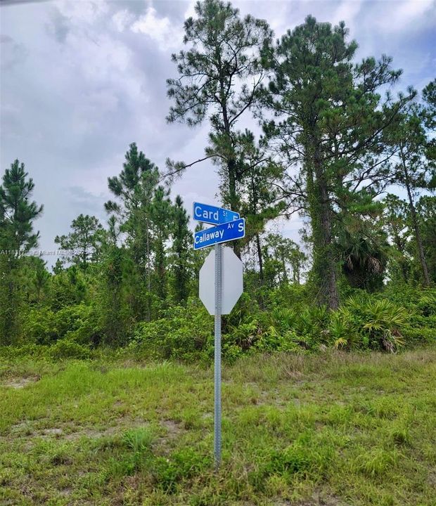 Vendido Recientemente: $21,800 (0.36 acres)