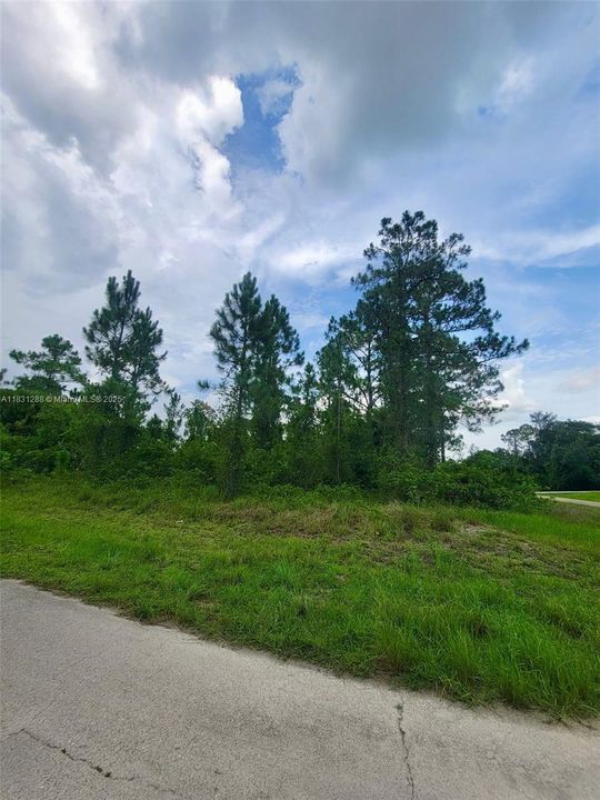 Vendido Recientemente: $21,800 (0.36 acres)