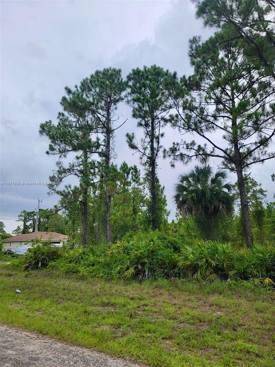 Vendido Recientemente: $21,800 (0.36 acres)