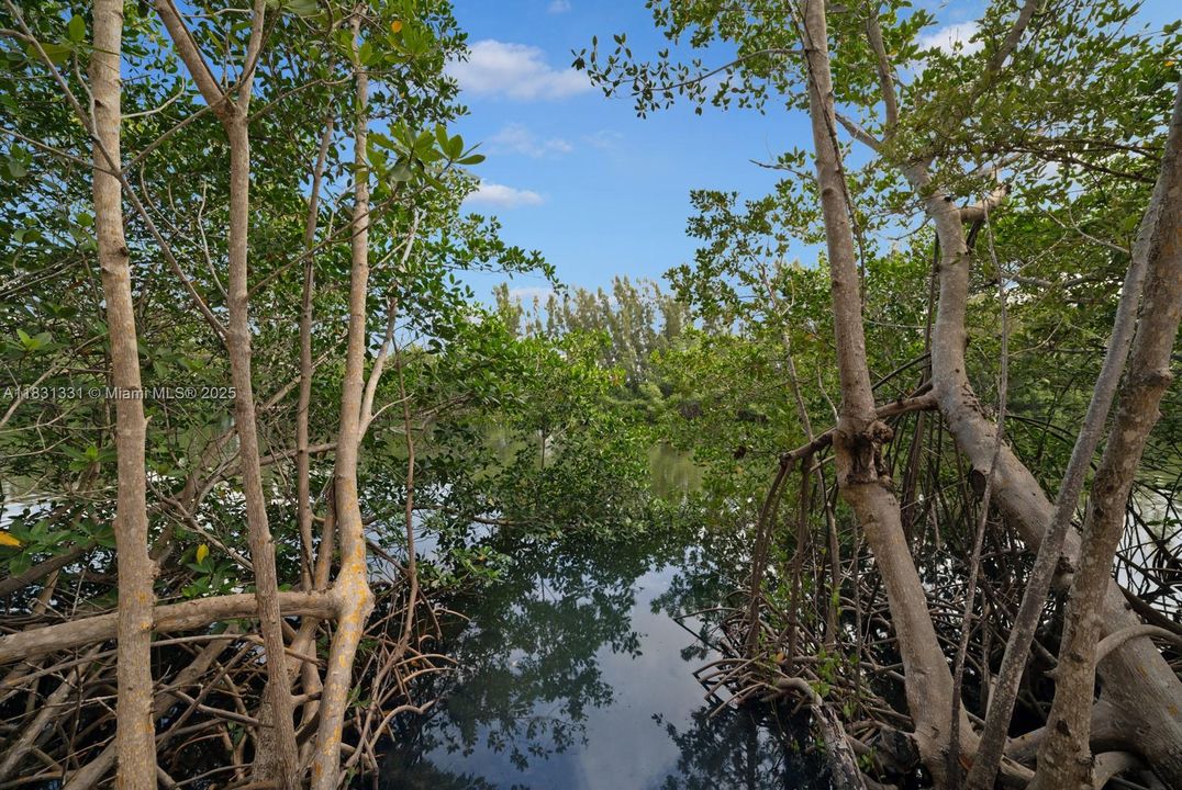 En Venta: $2,895,000 (4 camas, 3 baños, 4815 Pies cuadrados)