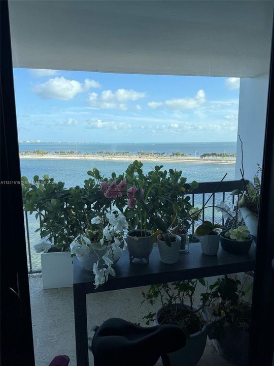 待售: $895,000 (2 贝兹, 2 浴室, 1460 平方英尺)