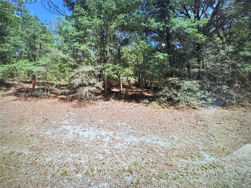 待售: $45,000 (0.95 acres)