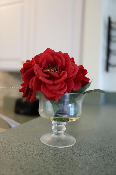 Active With Contract: $3,350 (2 beds, 2 baths, 864 Square Feet)