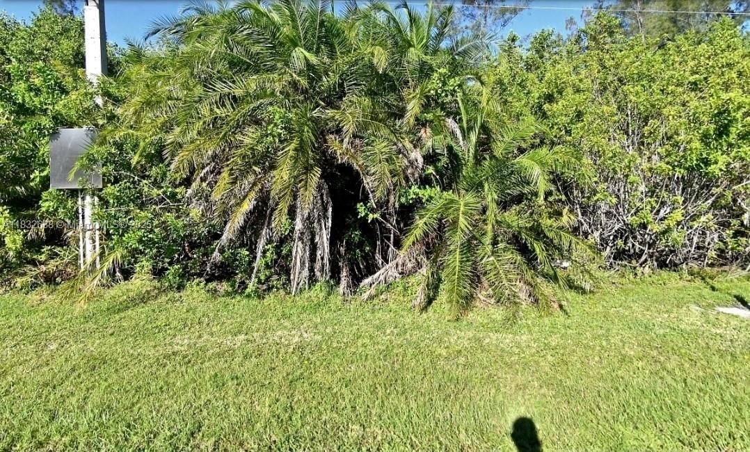 En Venta: $69,000 (0.18 acres)