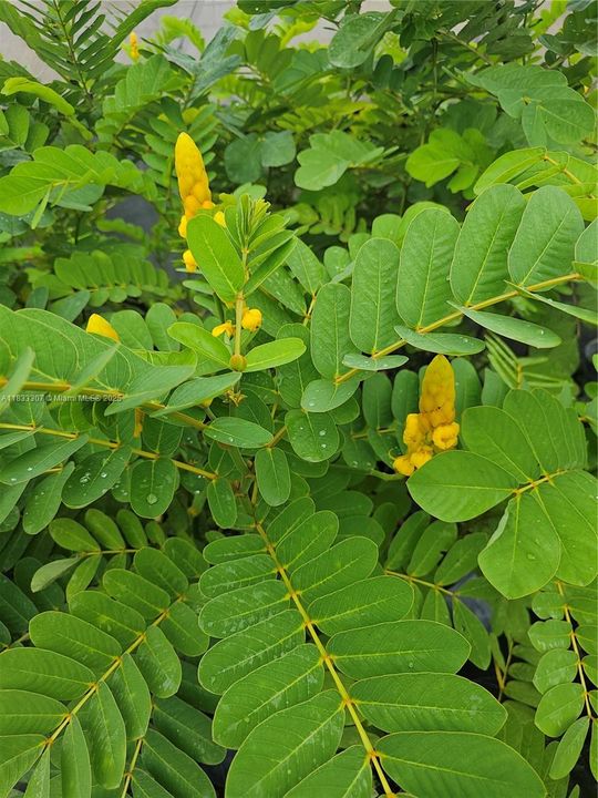 For Sale: $1,600,000 (0 beds, 0 baths, 0 Square Feet)