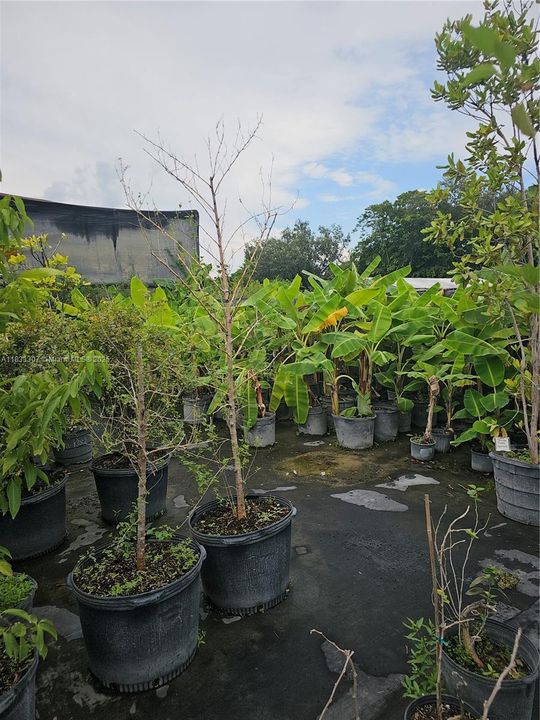 For Sale: $1,600,000 (0 beds, 0 baths, 0 Square Feet)