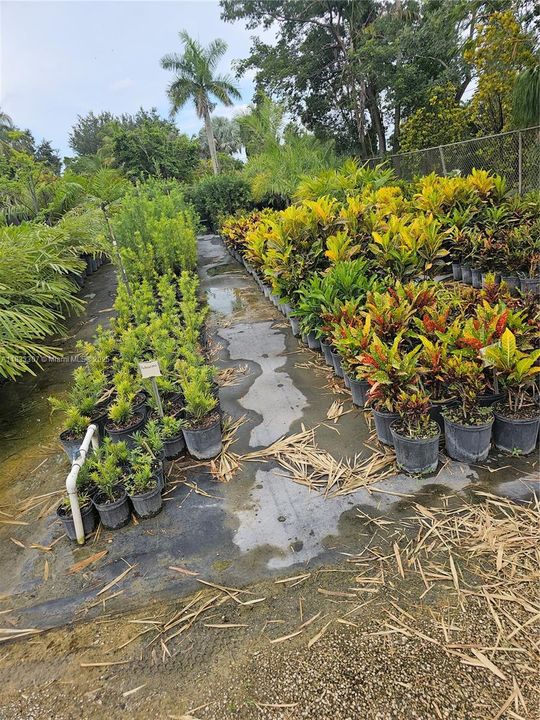 For Sale: $1,600,000 (0 beds, 0 baths, 0 Square Feet)