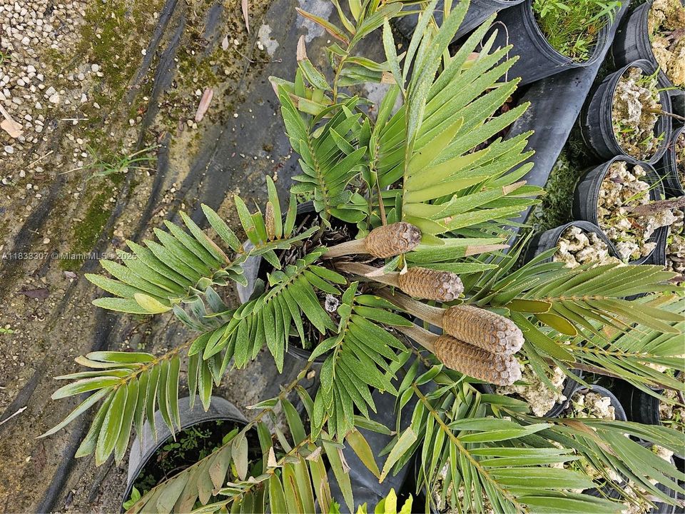 For Sale: $1,600,000 (0 beds, 0 baths, 0 Square Feet)