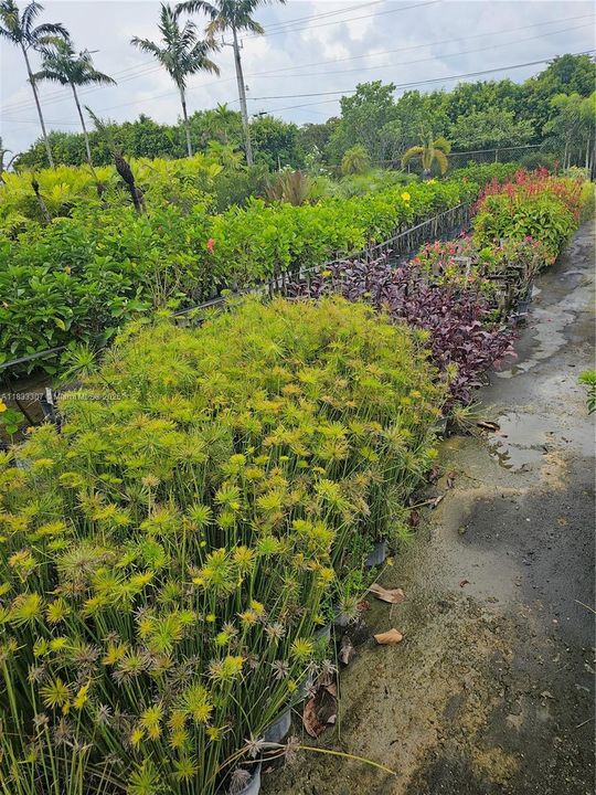 For Sale: $1,600,000 (0 beds, 0 baths, 0 Square Feet)