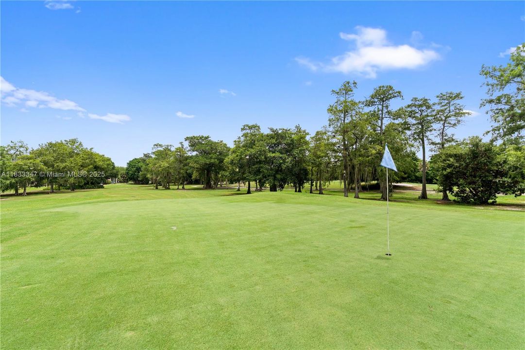 Beautiful Golf Course View