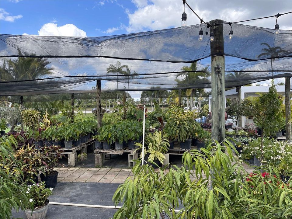 待售: $1,000,000 (1.30 acres)