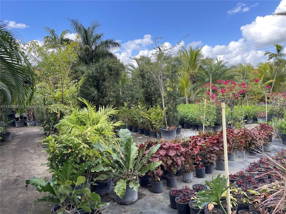 待售: $1,000,000 (1.30 acres)