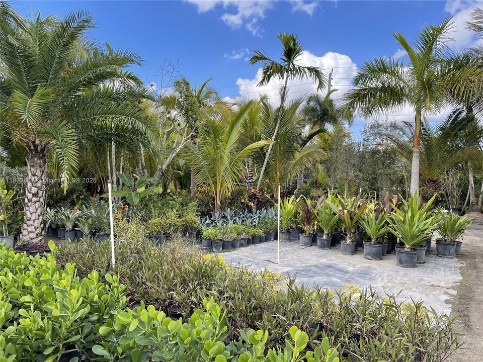 待售: $1,000,000 (1.30 acres)