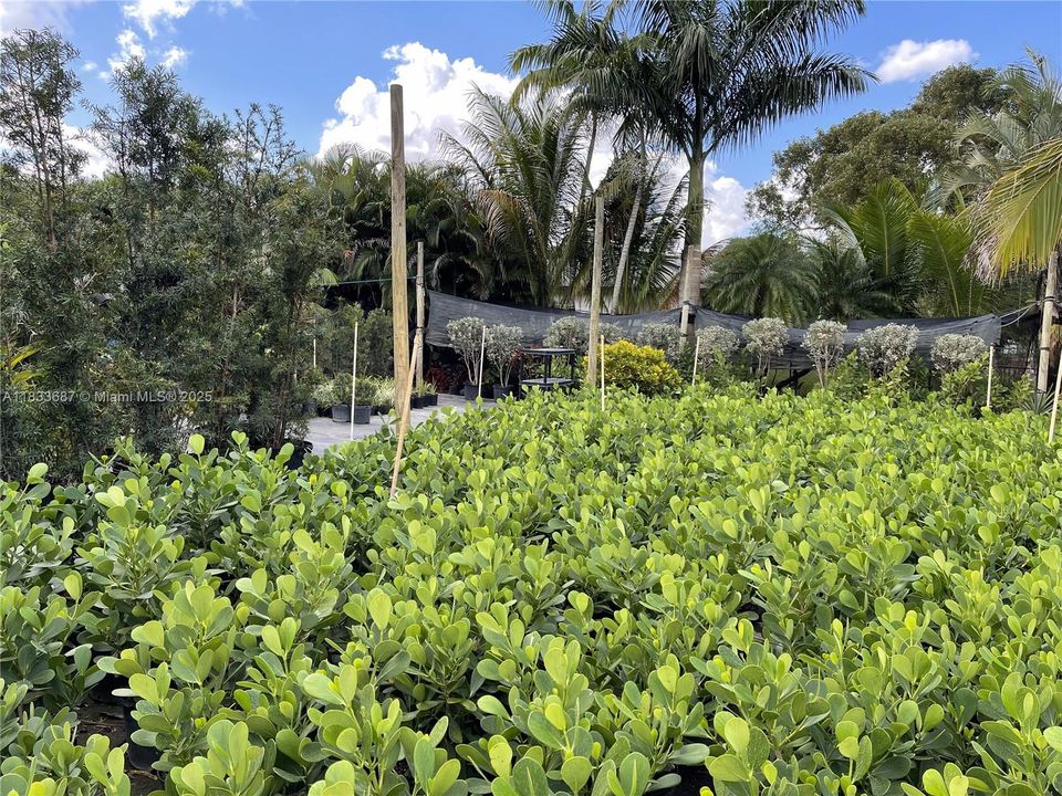 待售: $1,000,000 (1.30 acres)