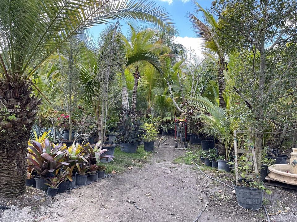 待售: $1,000,000 (1.30 acres)