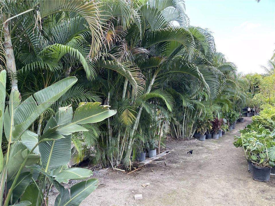 待售: $1,000,000 (1.30 acres)