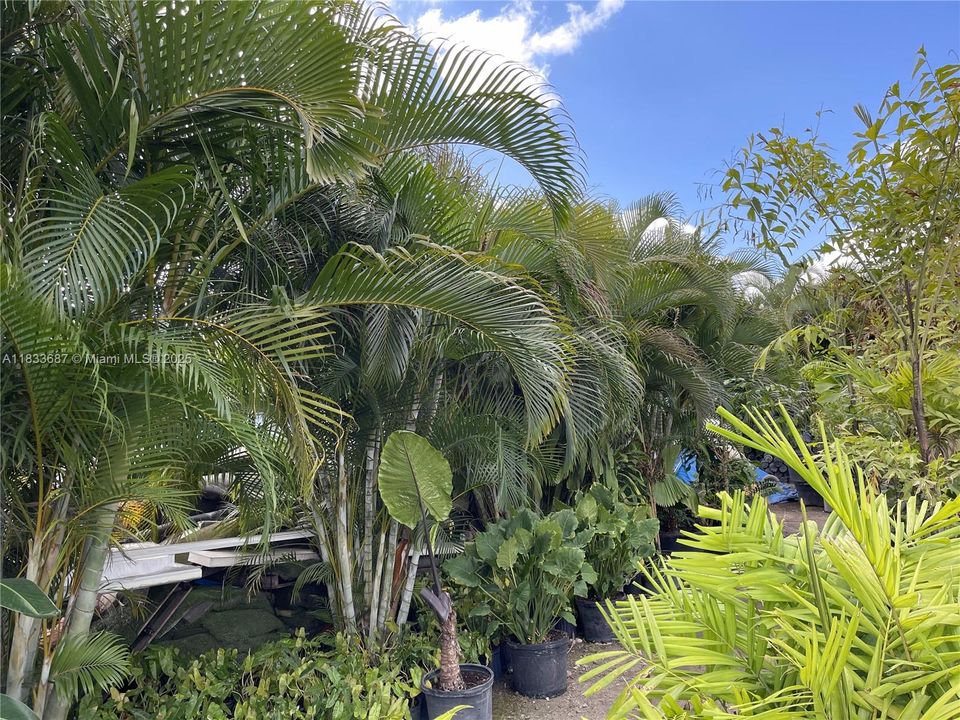 待售: $1,000,000 (1.30 acres)